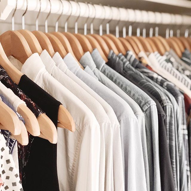How to Stop Bugs From Eating Clothes In Your Closet