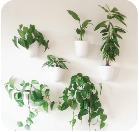 The 9 Best Wall Planters of 2023