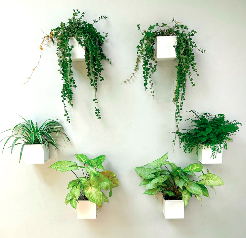 LaLaGreen Wall Planters