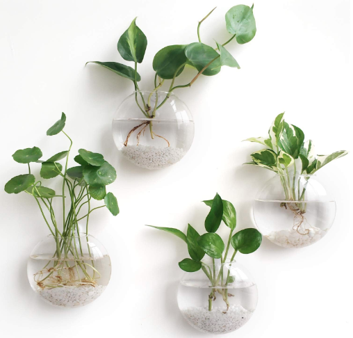 Mkono Wall Hanging Glass Terrariums Planters