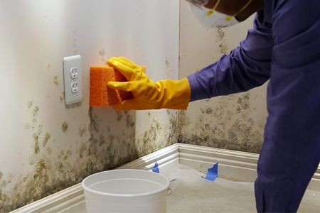 remove mold