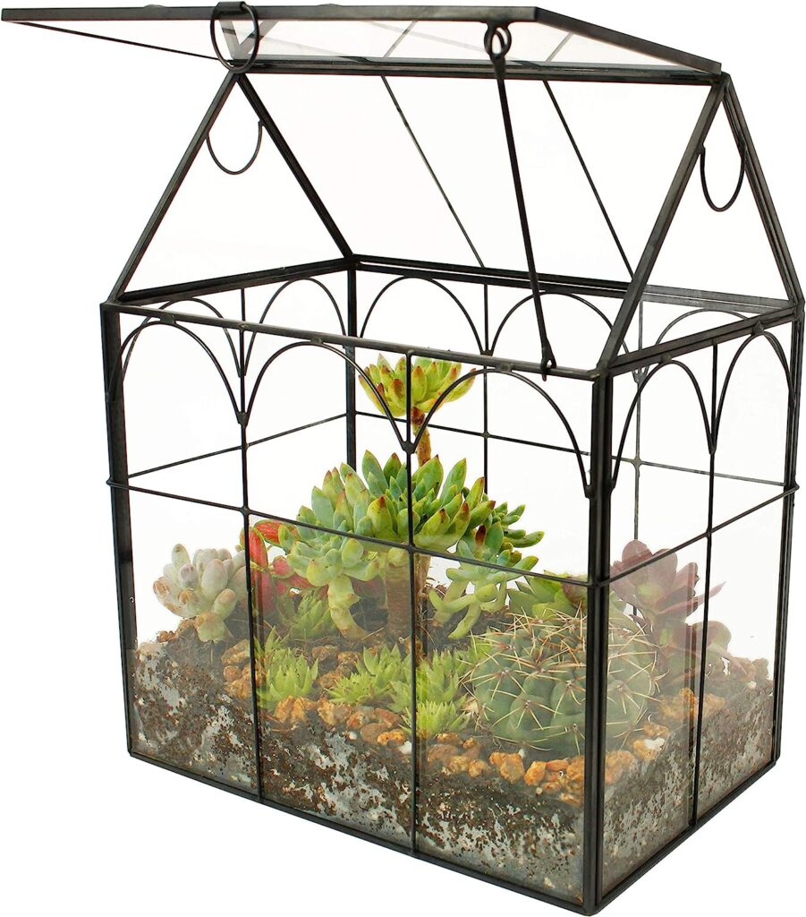 ELEGANTLIFE Glass Geometric Plant Terrariums