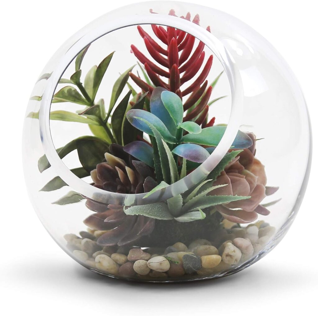 Terrariums