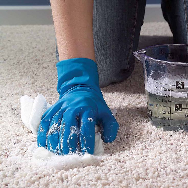 How To Remove Mud Stains From Carpet?