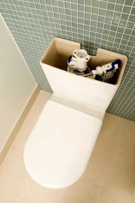 You’ve Probably Never Cleaned Your Toilet Tank—but You Really Should