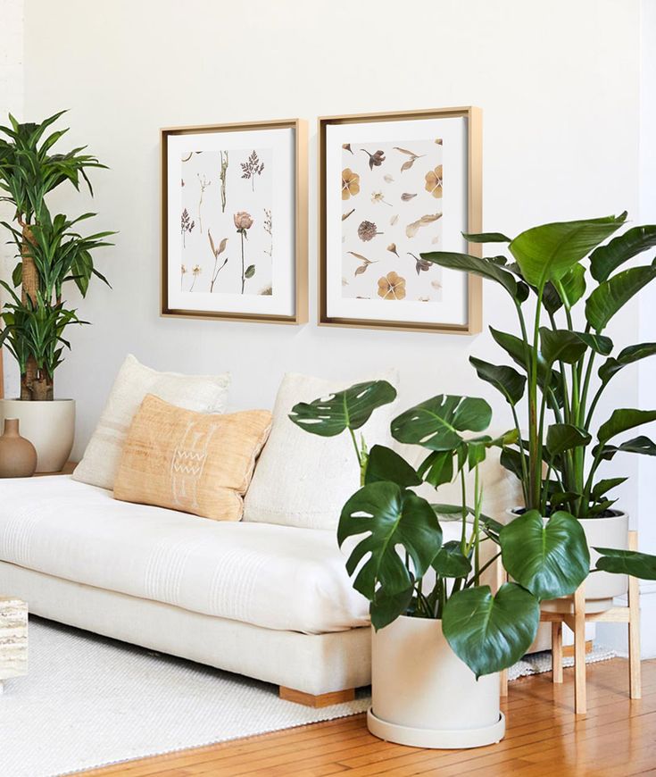 8 Of The Best Bedroom Plants For A Prettier, Healthier Space