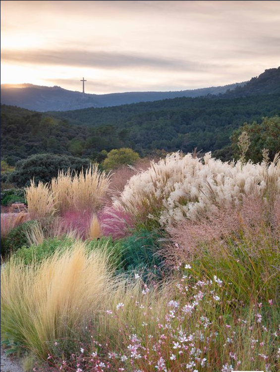 These 12 Outdoor Plants Will Thrive on Your Patio This Spring