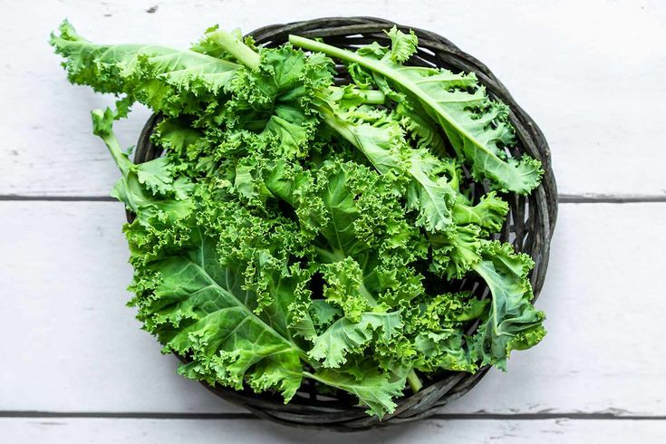 How To Store Kale So It Stays Crisp And Fresh?
